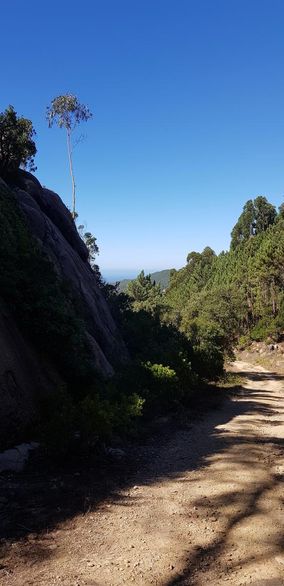 Sintra Trails